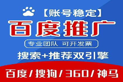 SEM推广公司案例：打造行业领军品牌